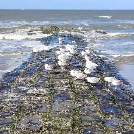 Seaside4you Prázdninový dům